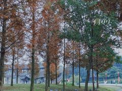 -眉山湿地公园(东坡区)