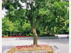 -阿哈湖国家湿地公园