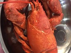 -四海蒸鲜蒸汽海鲜自助(北戴河店)