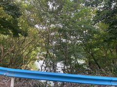 -南湾湖