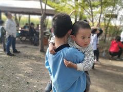 -菊园百果园