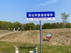 -同里国家湿地公园