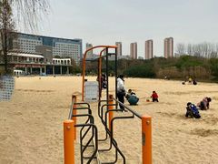 -青枫公园