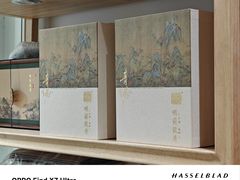 -先春西湖龍井•九曲红梅(杭大路店)