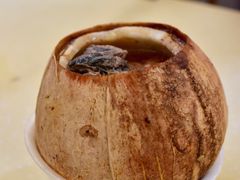 椰子炖乌骨鸡-達揚原味燉品(文明路店)