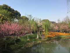 -圩墩遗址公园