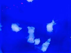 -福州罗源湾海洋世界旅游区