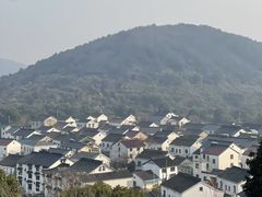 -香雪海