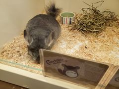 -龙猫仔乐园(惠福东路店)