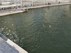 -海河游船(古文化街码头)
