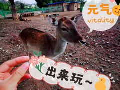 -大青山野生动物园