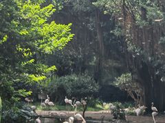 -九龙公园