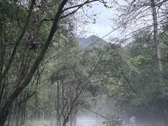 -玉渡山自然风景区