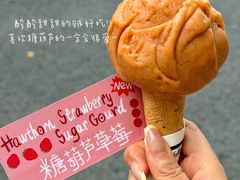 -红楼HONGLOU Gelato(淮海中路店)