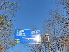 -永定河休闲森林公园