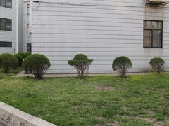 -辽宁大学(崇山校区)
