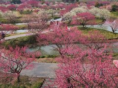 -花开海上生态园