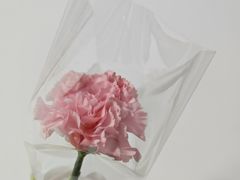-枫叶小镇奥特莱斯