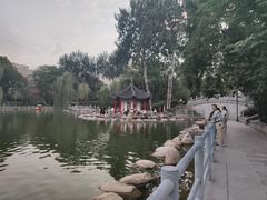 -莲湖公园