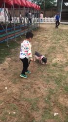 -上美四季动物农场