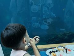 -海棠湾洲际-涛·海底餐厅·美人鱼·自助餐·海底隧道