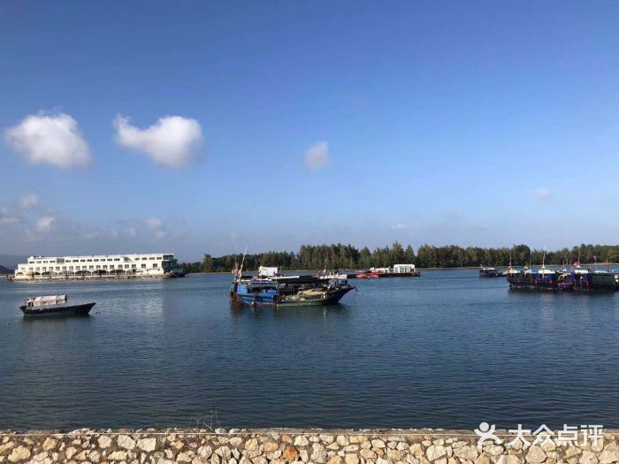 铁炉港小学-图片-三亚学习培训-大众点评网