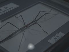 -上海昆虫博物馆
