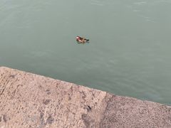 -颐和园