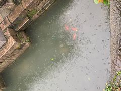 -黎阳老街