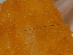 -驻海渔市(置信店)