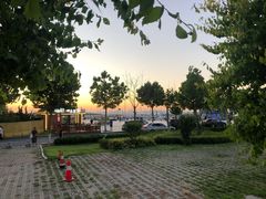 -东港音乐喷泉广场