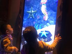 -沈阳海洋探索中心