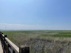 -野鸭湖国家湿地公园