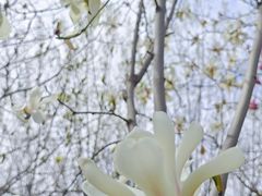 -天津东丽湖风景区