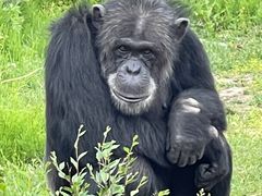 -哈尔滨北方森林动物园