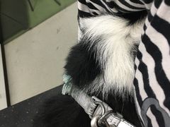 -美联众合动物医院(唯恩分院)