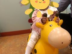 -金宝贝国际早教(洛龙正大校区)