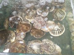 -四海鲜渔家菜(黄金海岸店)