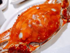 -大锅强·蒸海鲜青岛菜(吾悦广场店)