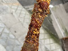 -清真回族八哥秘制饼夹菜