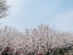 -北京明城墙遗址公园