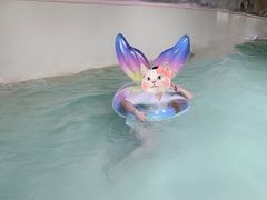 -泉城欧乐堡水上世界