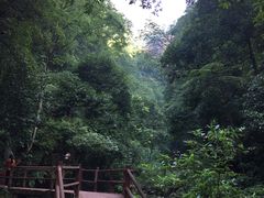 -赤水丹霞旅游区·佛光岩
