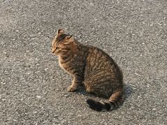 -虹梅食堂·爱蝦乃家