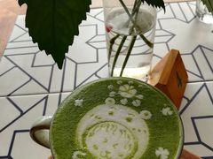 小熊抹茶拿铁-懒鱼时光馆(沙坪坝店)