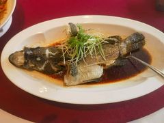-顺峰(农展馆店)