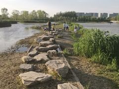 -大兴滨河森林公园