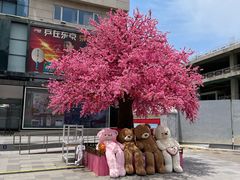 -北京利生体育商厦