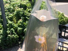 -曼僖瓦罐咖啡(华山南路店)