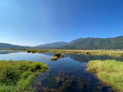 -腾冲北海湿地